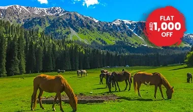Tour Across The Land Of Horses