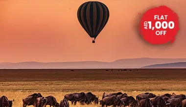 A Journey Through East Africa