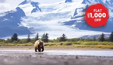 An Alaskan Wilderness Adventure