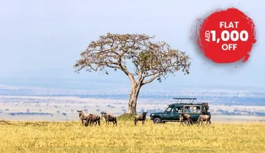  An Exciting Kenya Safari Including Amboseli Park 