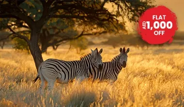 Explore South Africa