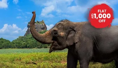 Holiday In Enchanting Sri Lanka