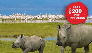 Go On An Epic Safari Adventure With Our Kenya Classic Tour