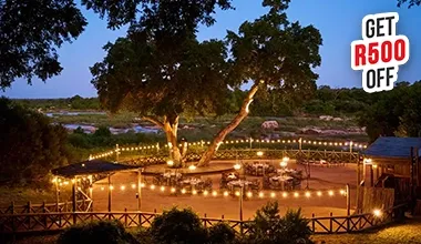 Kruger National Park Staycation - Safari & Bush Adventure