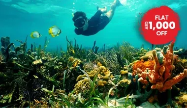  Explore The Waters Of Palau