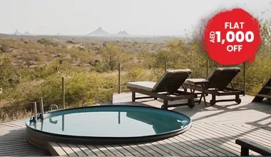 Perfect South Africa Safari by Private Air