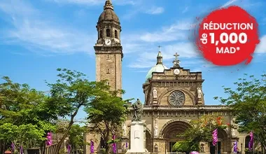 philippines whale shark island tour 9 days