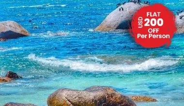 Welcome To The Rainbow Nation South Africa