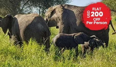 Craters & Valleys Package