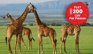 Hail Adventure with the Amazing Lakes and Caldera Safari Package, Tanzania