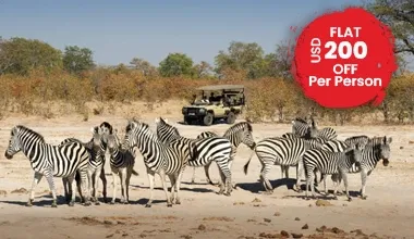 Simba Safari Sopa Lodge