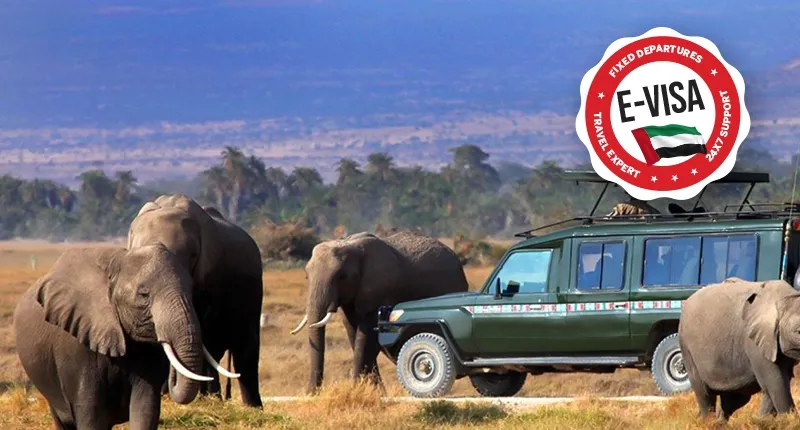 Thrilling Kenya