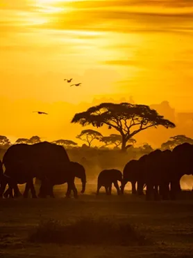 Kenya