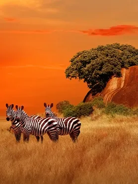 Tanzania