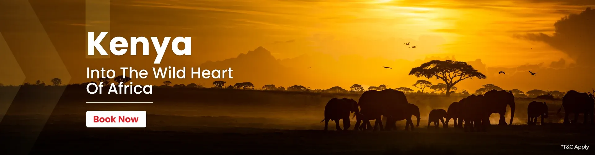 Kenya Packages