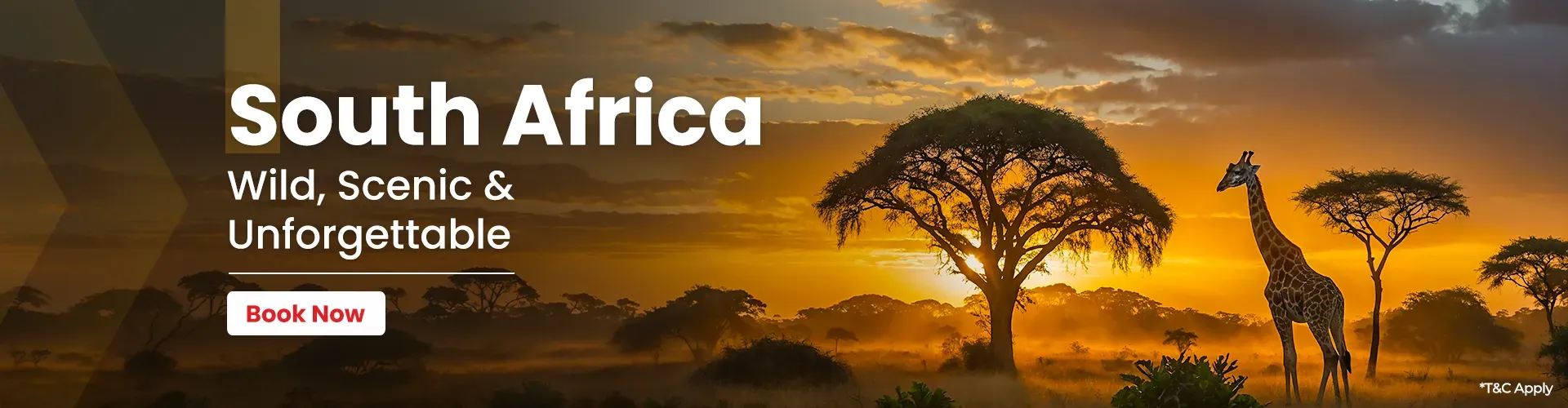 South Africa Packages