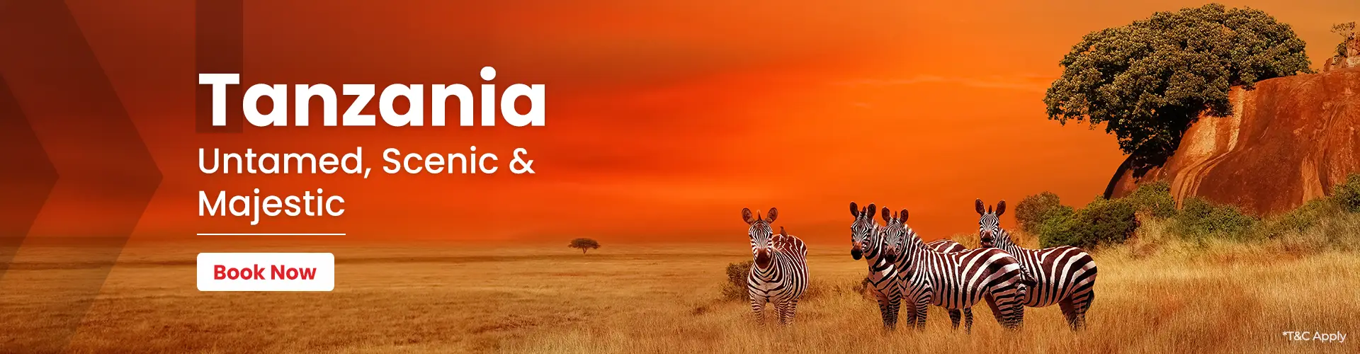 Tanzania Packages