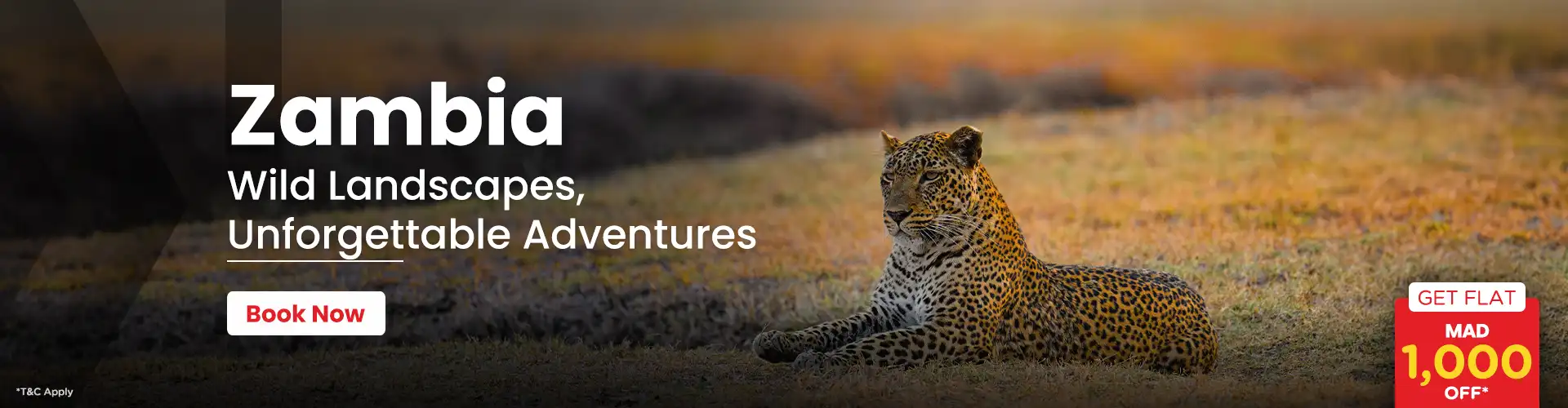 Zambia Holiday packages